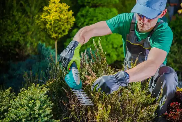 landscaping services Coushatta